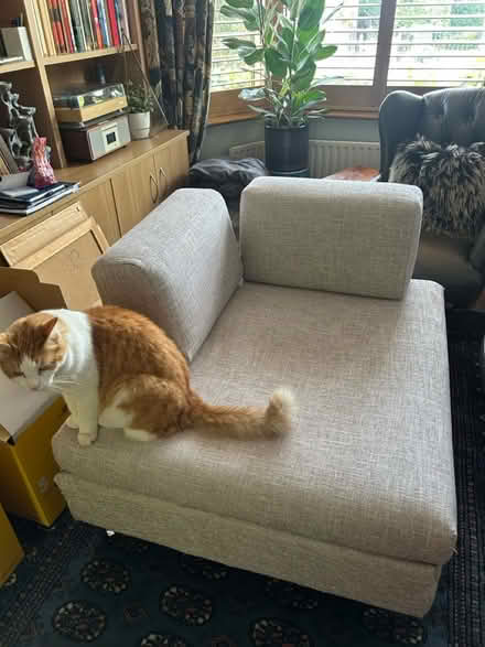 Photo of free Small (single) sofa bed (Kingston KT2) #1