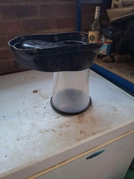Photo of free Dog 'refilling' water bowl (South Green CM11) #4
