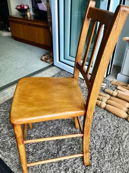 Photo of Small dining chairs (Willingdon Trees) #3