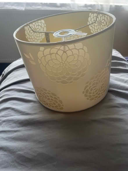 Photo of free Lamp shade and curtains (Buckfastleigh TQ11) #1