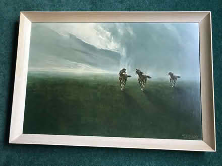 Photo of free Framed Painting - 'Freedom Of The Plains' (Westerham TN16) #1