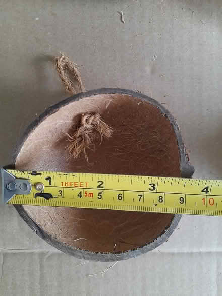 Photo of free Four Half Coconut Shells (West Cheshunt) #3