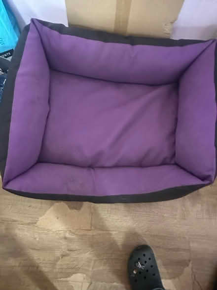 Photo of free Dog bed (St Giles HP8) #1
