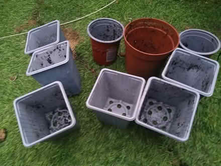 Photo of free Plastic Plant Pots (Leighton buzzard LU7) #1