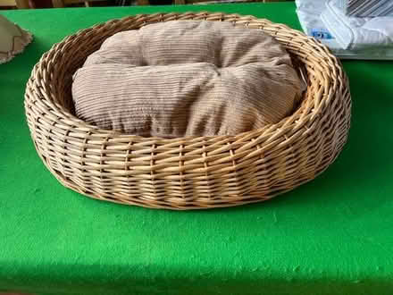 Photo of free Small pet basket (Henley-on-Thames RG9) #1
