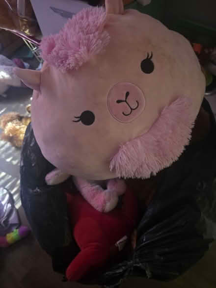 Photo of free Stuffies (San jose) #2