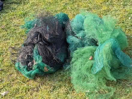 Photo of free Assorted netting for veggie patch (Storrington) #1