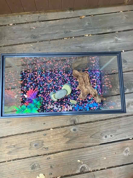 Photo of free 10 gallon fish tank (Oakmore Oakland) #2