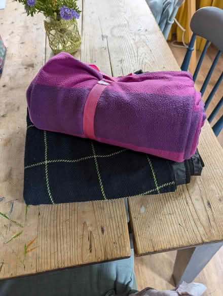 Photo of free Picnic rugs (Storrington) #1
