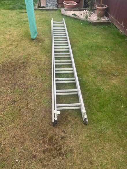 Photo of free Ladder (Bexhill TN40) #2