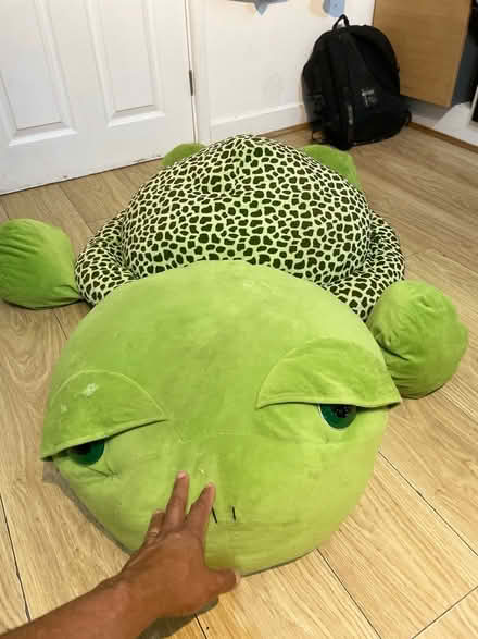 Photo of free Turtle puff (Se279) #1