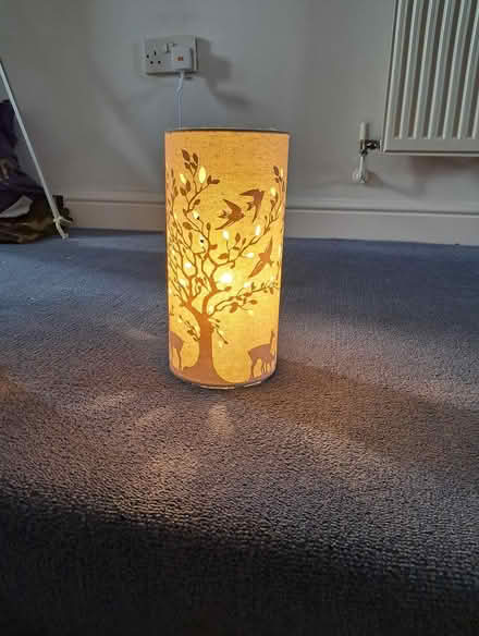 Photo of free Decorative lamp (HP3 Apsley) #2