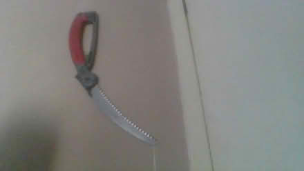 Photo of free Tree Saw (BA2) #1