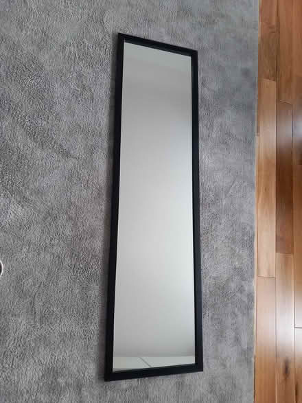 Photo of free long mirror (RG6 near Palmer Park) #1