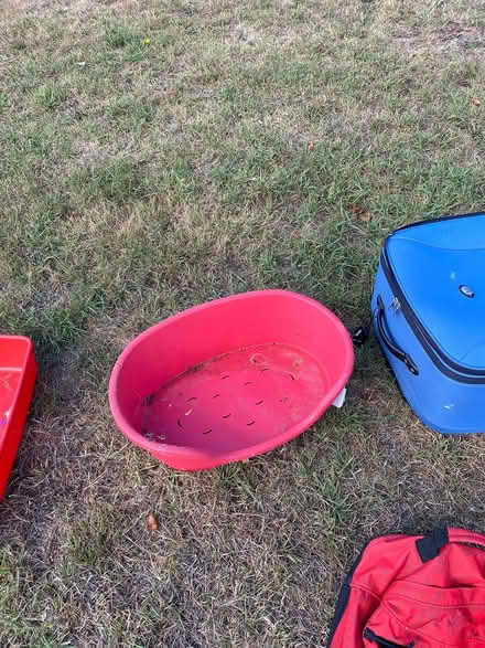 Photo of free Small dog bed (Stafford ST17) #1
