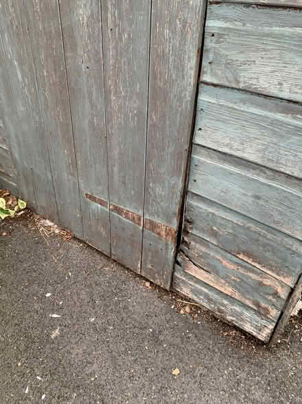 Photo of free Shed (Kempston MK42) #4