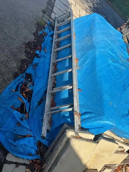 Photo of free Ladders (Great Dunmow CM6) #3