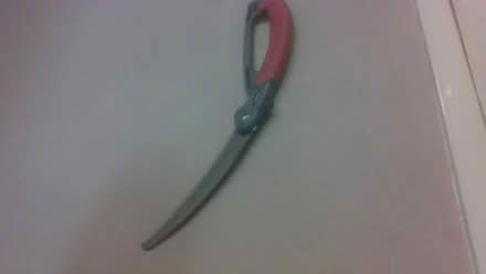 Photo of free Tree Saw (BA2) #2