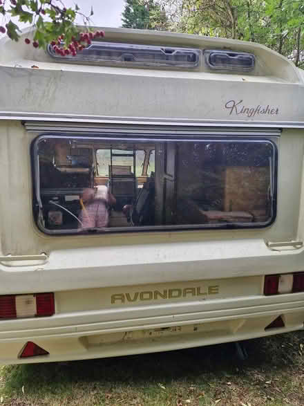 Photo of free End of life caravan (Hastings TN34) #4