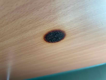 Photo of free Open Shelves (Wisewood/Hillsborough S6 4) #4