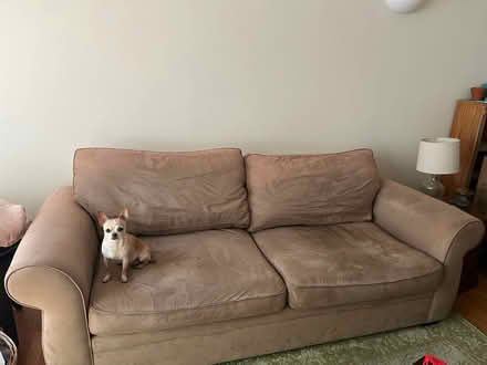 Photo of free Giant bean bag, couch, TV stand (Green Line Harlem stop) #1