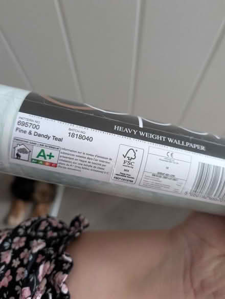 Photo of free Teal beautiful wallpaper dandelion pattern (Goffs Oak EN7) #4