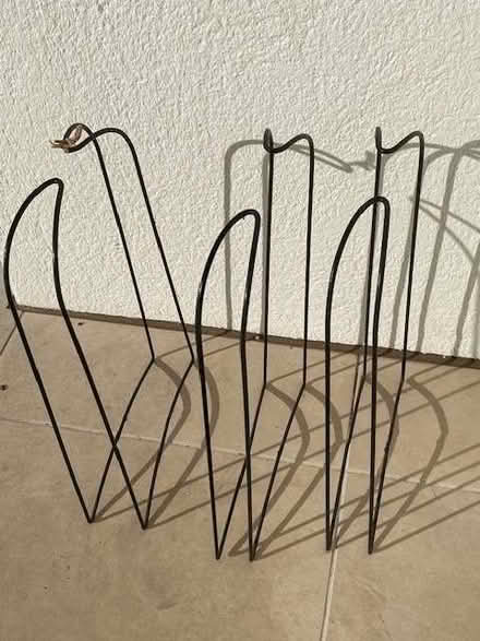 Photo of free Support for canes in a grow bag (Thames Ditton KT7) #1