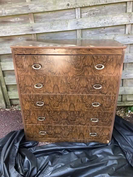Photo of free Chest of drawers (Dyke Road area BN3) #1