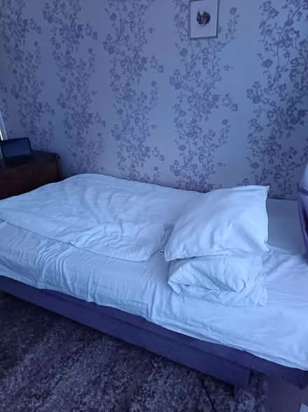 Photo of free Sofabed (Ashington) #2