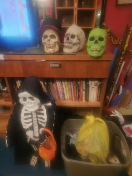 Photo of free Halloween decor & costumes (Upper west side) #1