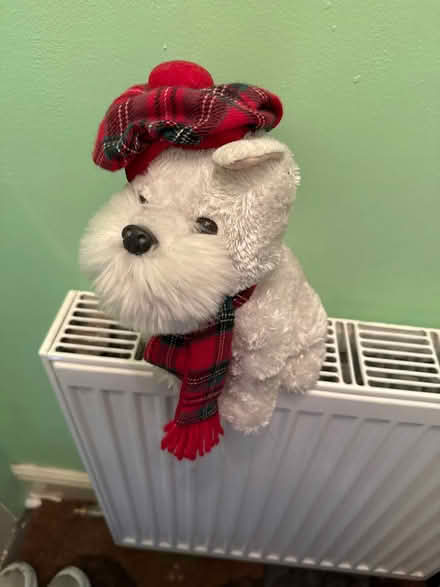 Photo of free Scotty dog doorstop (Merchiston EH10) #1