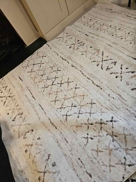 Photo of free Large area rug (AL1) #1