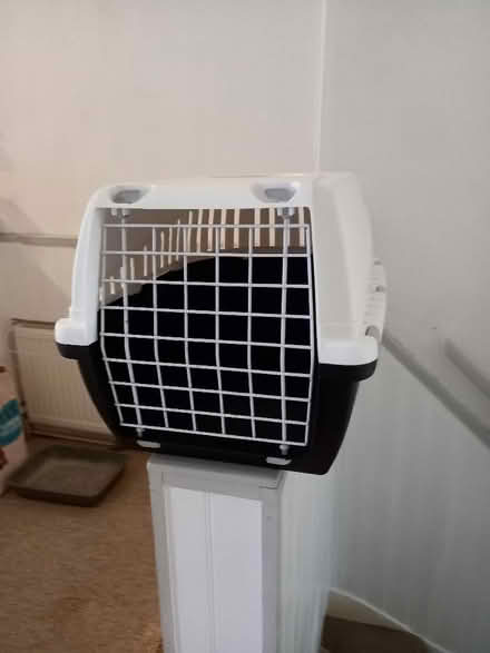 Photo of free Cat/small pet carrier (North Shields NE29) #1