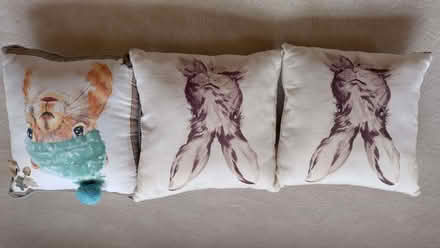 Photo of free Cushions x3 with Rabbit Motifs (Kenley CR8) #2