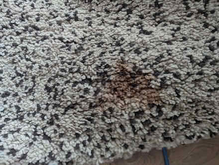 Photo of free IKEA vindum rug (BD21 - Long Lee) #3