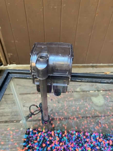 Photo of free 10 gallon fish tank (Oakmore Oakland) #4