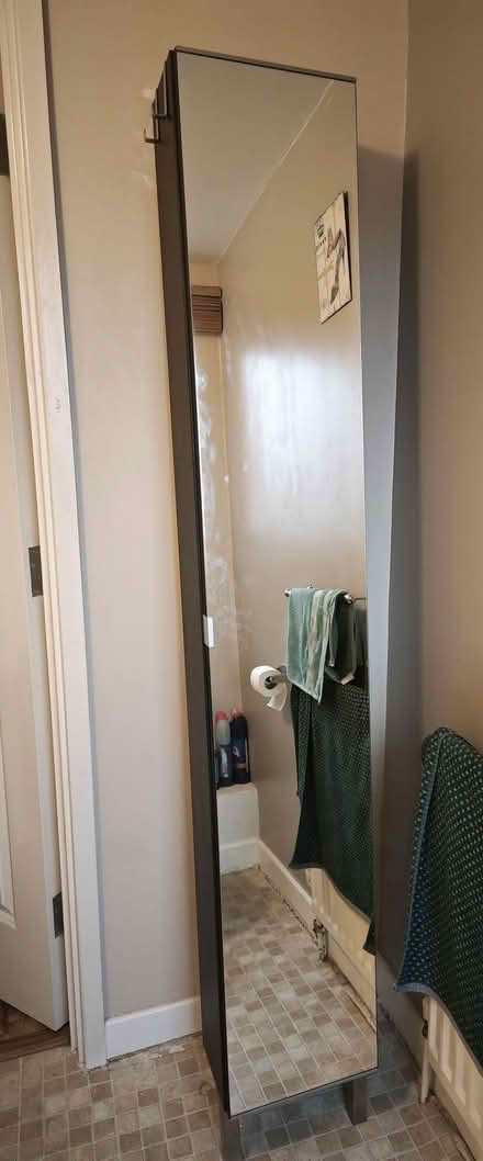 Photo of free IKEA tall Bathroom cabinet with mirror door (Orpington BR5) #1