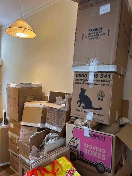 Photo of free Cardboard boxes after house move (Queen’s Park NW6) #1