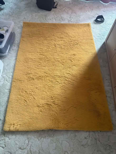 Photo of free Yellow mustard rug (Longfleet BH15) #1