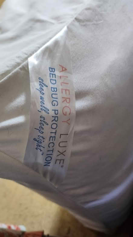 Photo of free Twin mattress (Somerset) #2