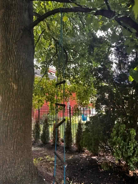 Photo of free Swing and ladder (Streetsville) #2