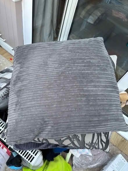 Photo of free Large cushions (Heybridge CM9) #3