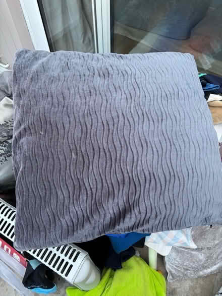 Photo of free Large cushions (Heybridge CM9) #1
