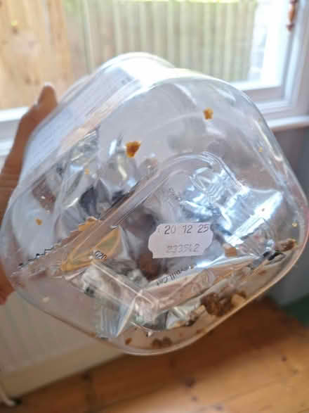 Photo of free A food to hide tablets in for cats (crouch end, N8) #3