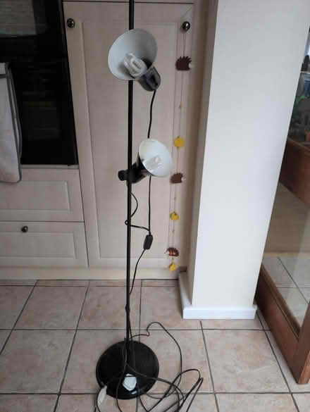 Photo of free Tall lamp (Worcester - WR5) #1