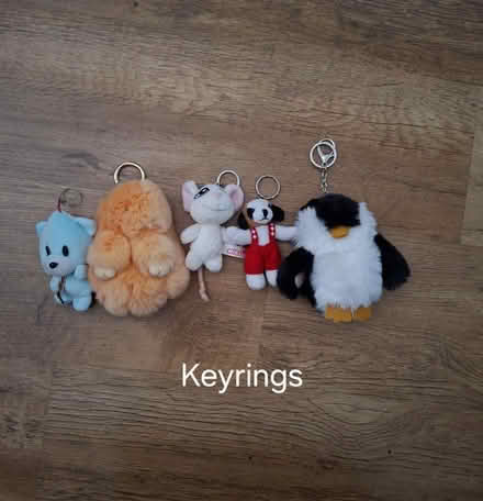 Photo of free Fluffy keyrings (Garston WD25) #1