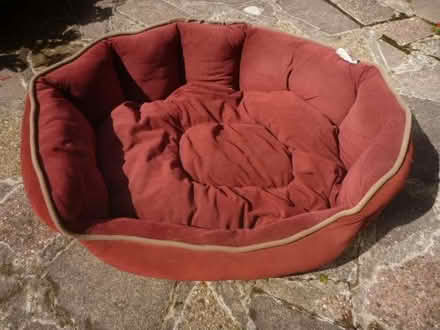 Photo of free 2 Medium Sized Soft Dog Beds (Bracknell Forest RG12) #2