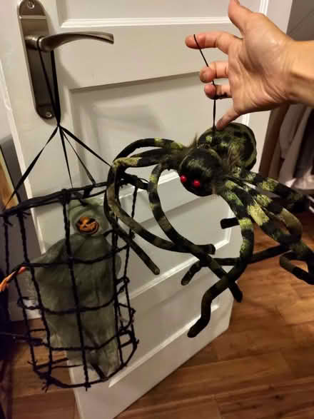 Photo of free Halloween Decoration (TW2 Twickenham) #1