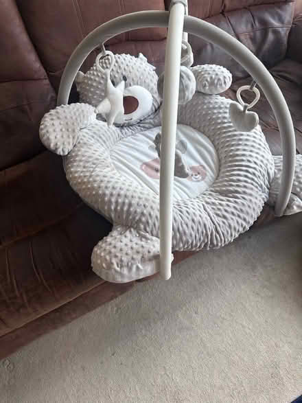 Photo of free Baby play mat with hanging toys. (Nast Hyde Farm AL10) #1