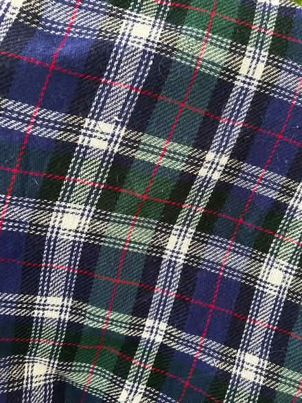 Photo of free Picnic Blanket (Hunt Club/Conroy area) #2